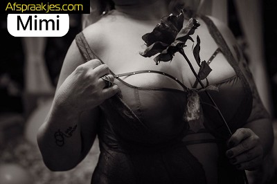 Dinsdag 2/9 te Geel aanwezig JENNA- KINKY VALERIA-SANDRA-MIMI-EEFJE-AMY