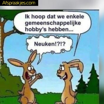 KOPPEL ZOEKT ZEER VROUWELIJK TRAV/CD