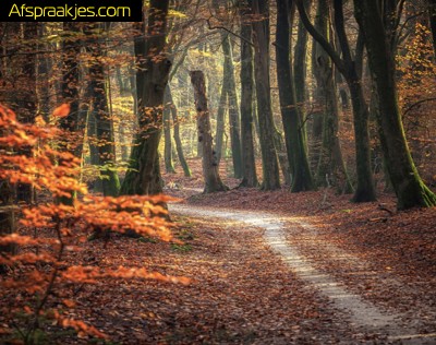 Zin in een spannend buitenavontuur deze week?