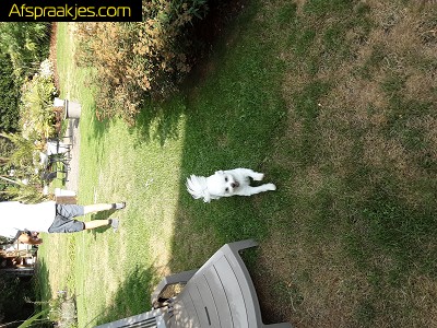 Sensuele erotische massage en meer 