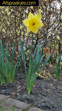 Zoek leuke date voor woensdag namiddag. 