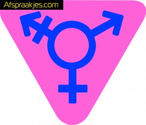VANAVOND 3 MEI T-GIRL TRANNY PARTY IN DEN BIECHTSTOEL